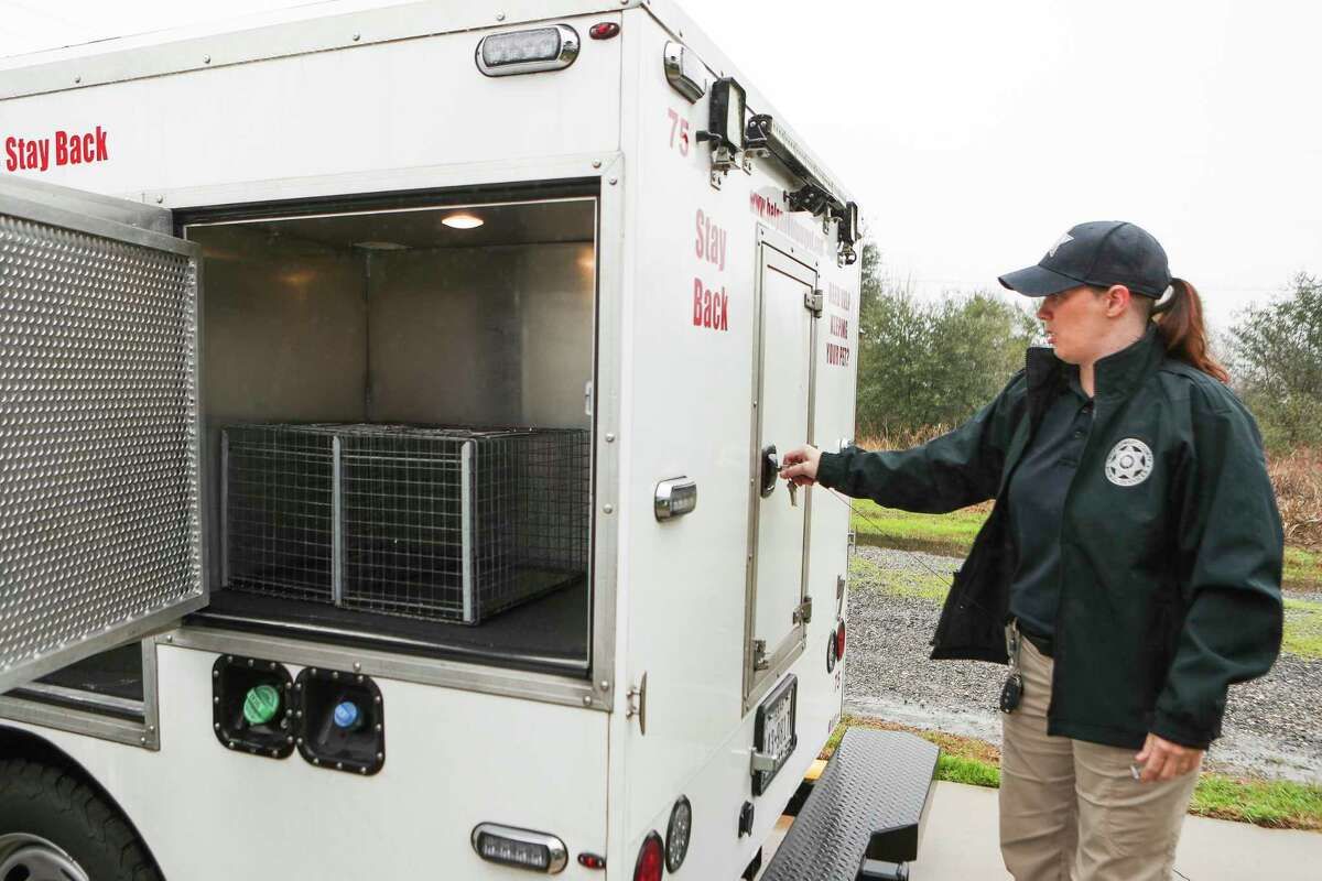 Animal Control Officer Tracy Allen shows the inside of one of the Montgomery County Animal Shelter’s air conditioned vehicles used to transport animals, Wednesday, Feb. 1, 2023, in Conroe.