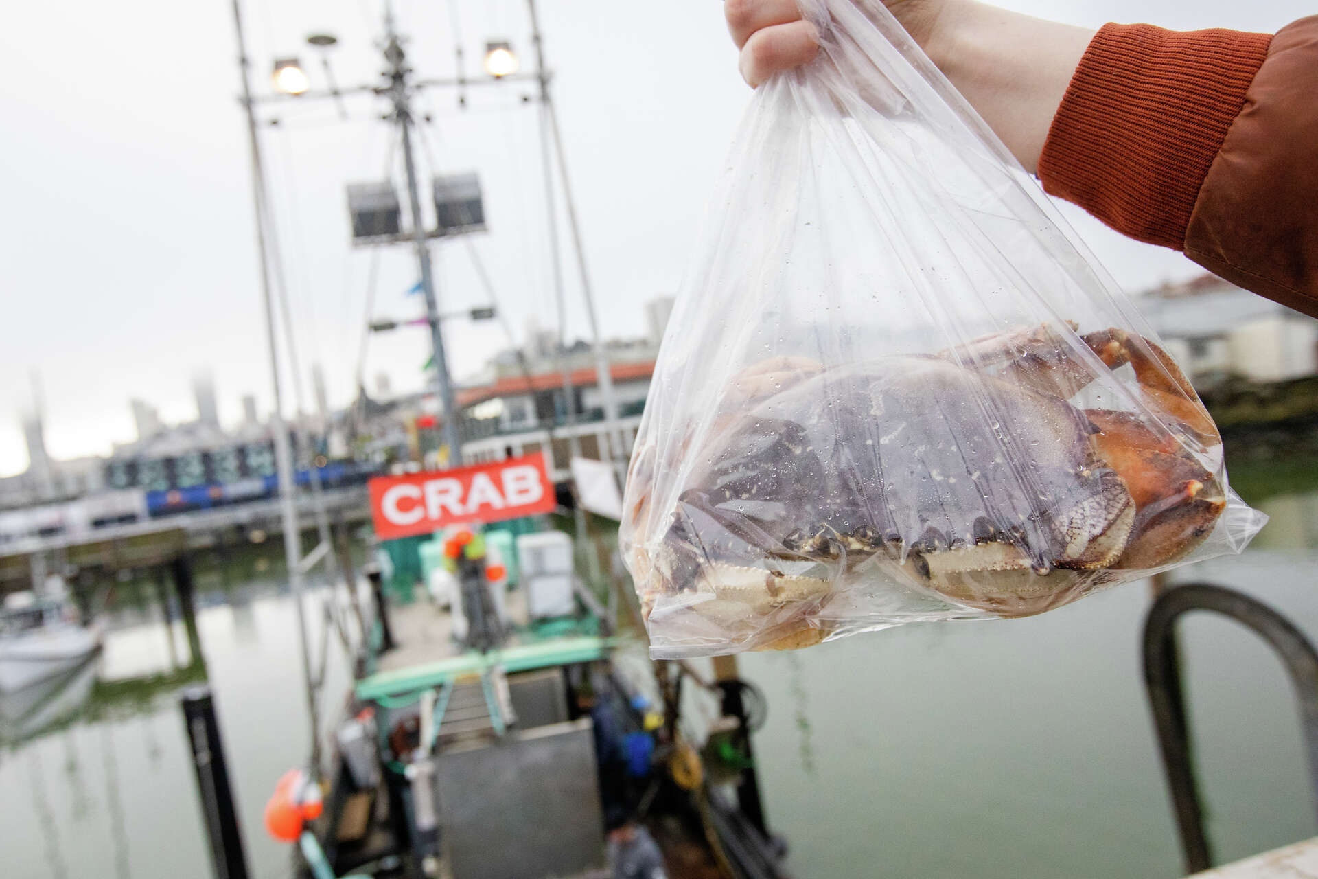 How to buy live Dungeness crab at Fisherman's Wharf in SF