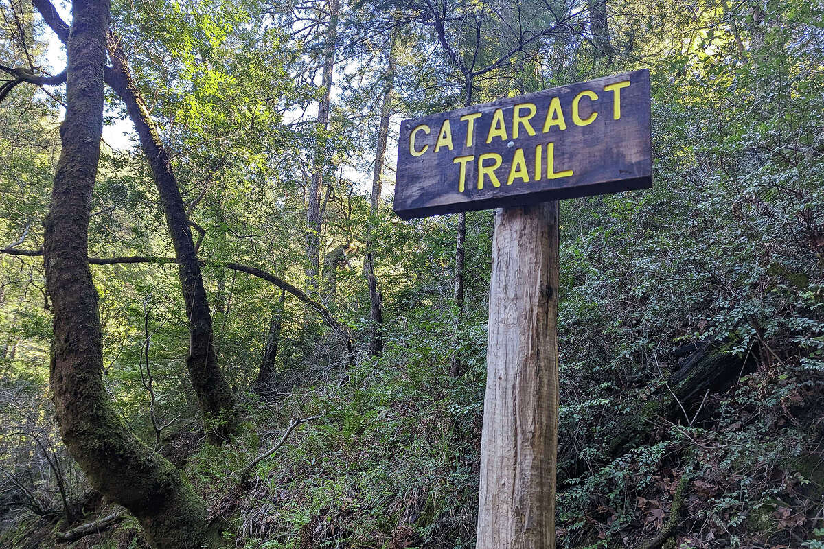 A sign for the Cataract Trail on Mount Tamu.