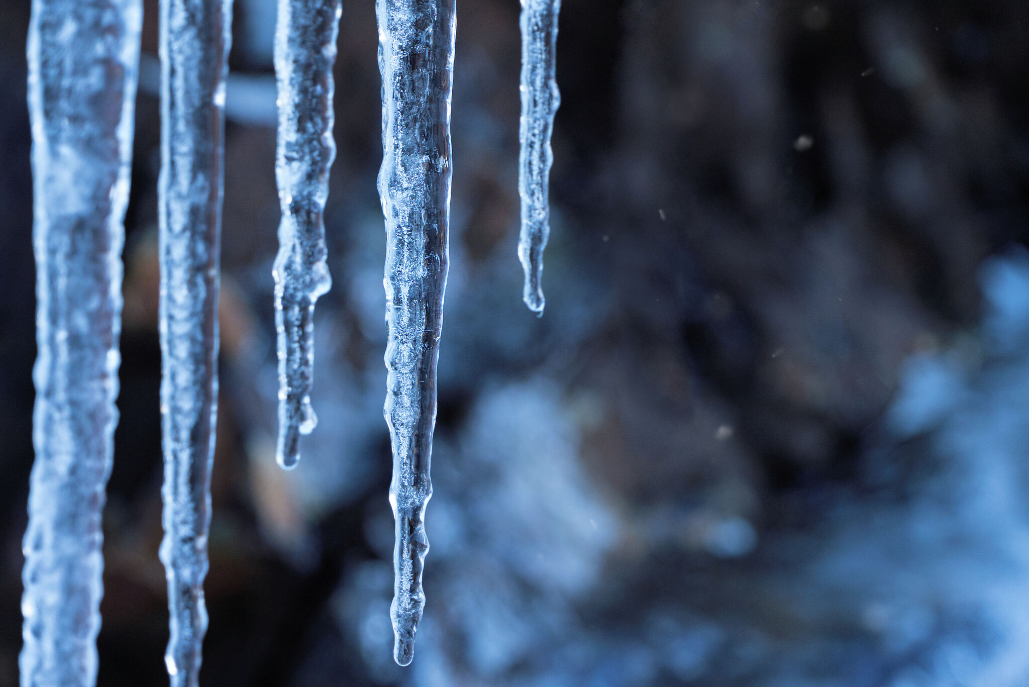 Boerne begins blackout to fix power lines damaged from ice