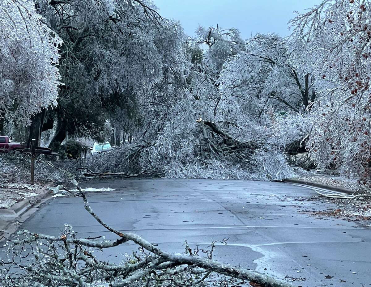 A residential street in Austin shows the damage ice has caused on trees in that city 75 miles northeast of San Antonio. When trees and limbs fall, they often bring down power lines and cause localized power outages.