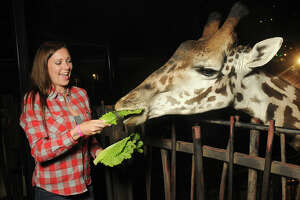 Houston Zoo's nocturnal dinner party lets you feast with beasts