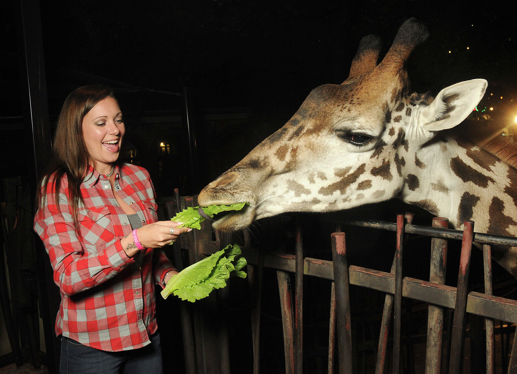 Houston Zoo's nocturnal party lets you feast with beasts