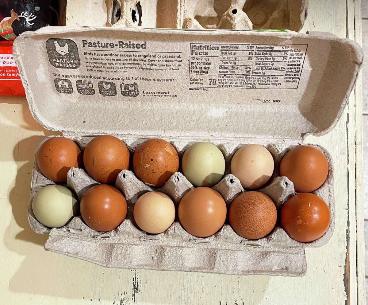 Multihued fresh eggs from Avonlea Farm in Portland 