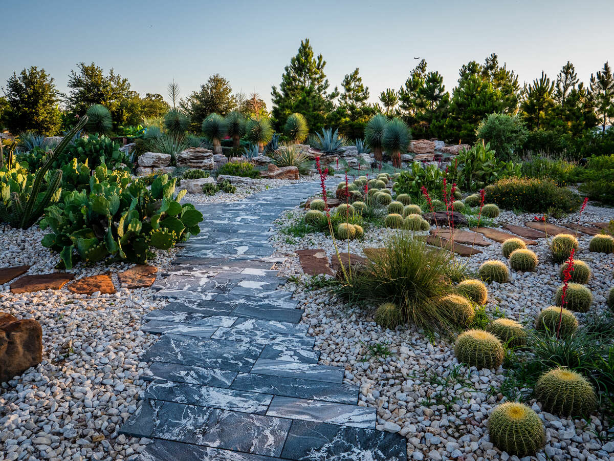 Houston Botanic Garden: Everything to know before you go