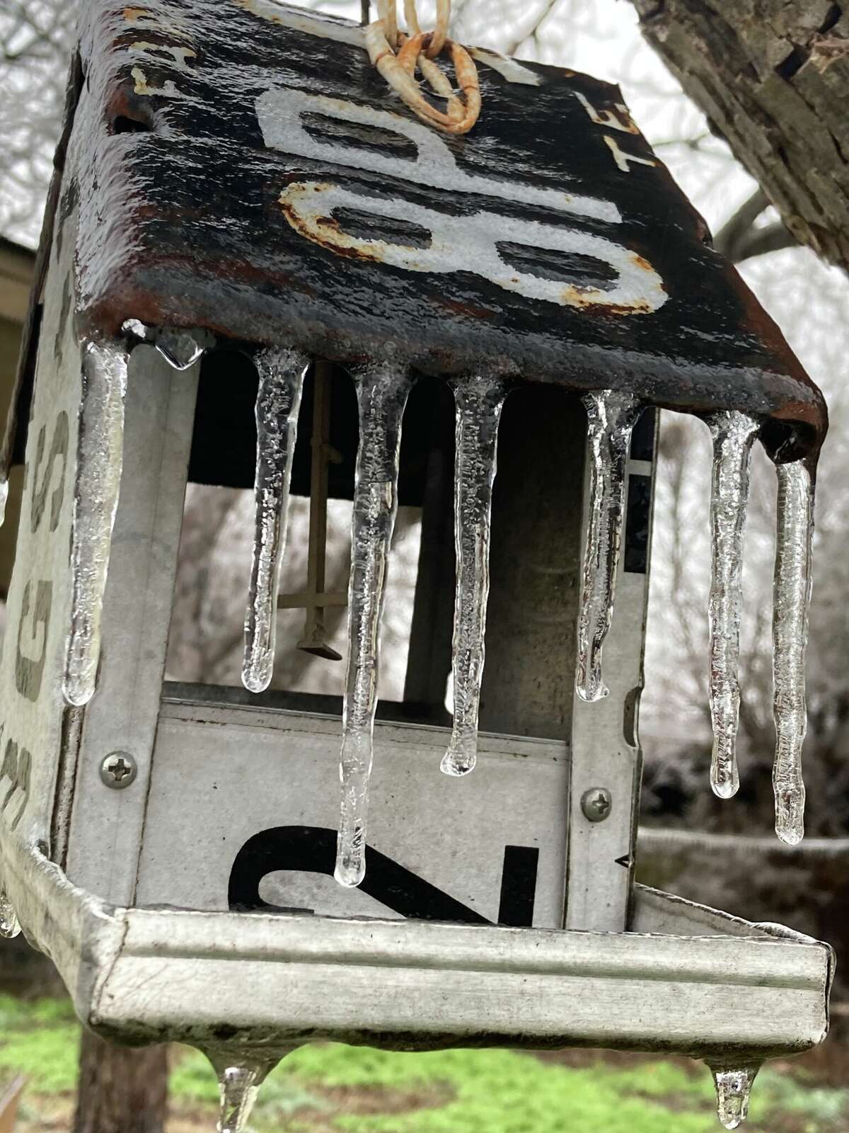 Ice coats a birdhouse at the author's Austin home. A storm knocked out power for a third of the city.