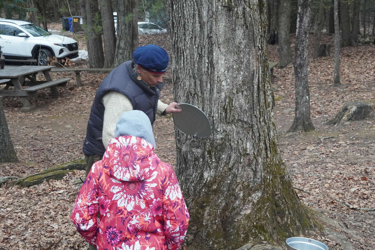The Institute of American Indian Studies is offering a workshop on maple sugaring, Feb. 11 at 11 a.m. 