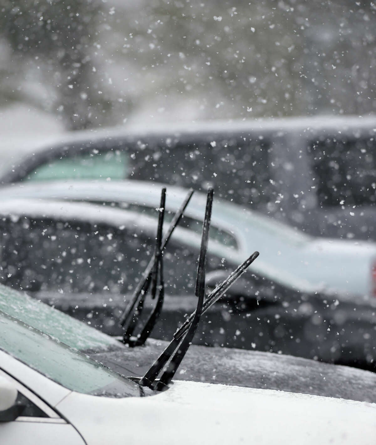 Cars parked at the War Memorial with their wipers up in preparation for the wet snow that fell in the Danbury area on Wednesday afternoon. January 25, 2023, Danbury, Conn.
