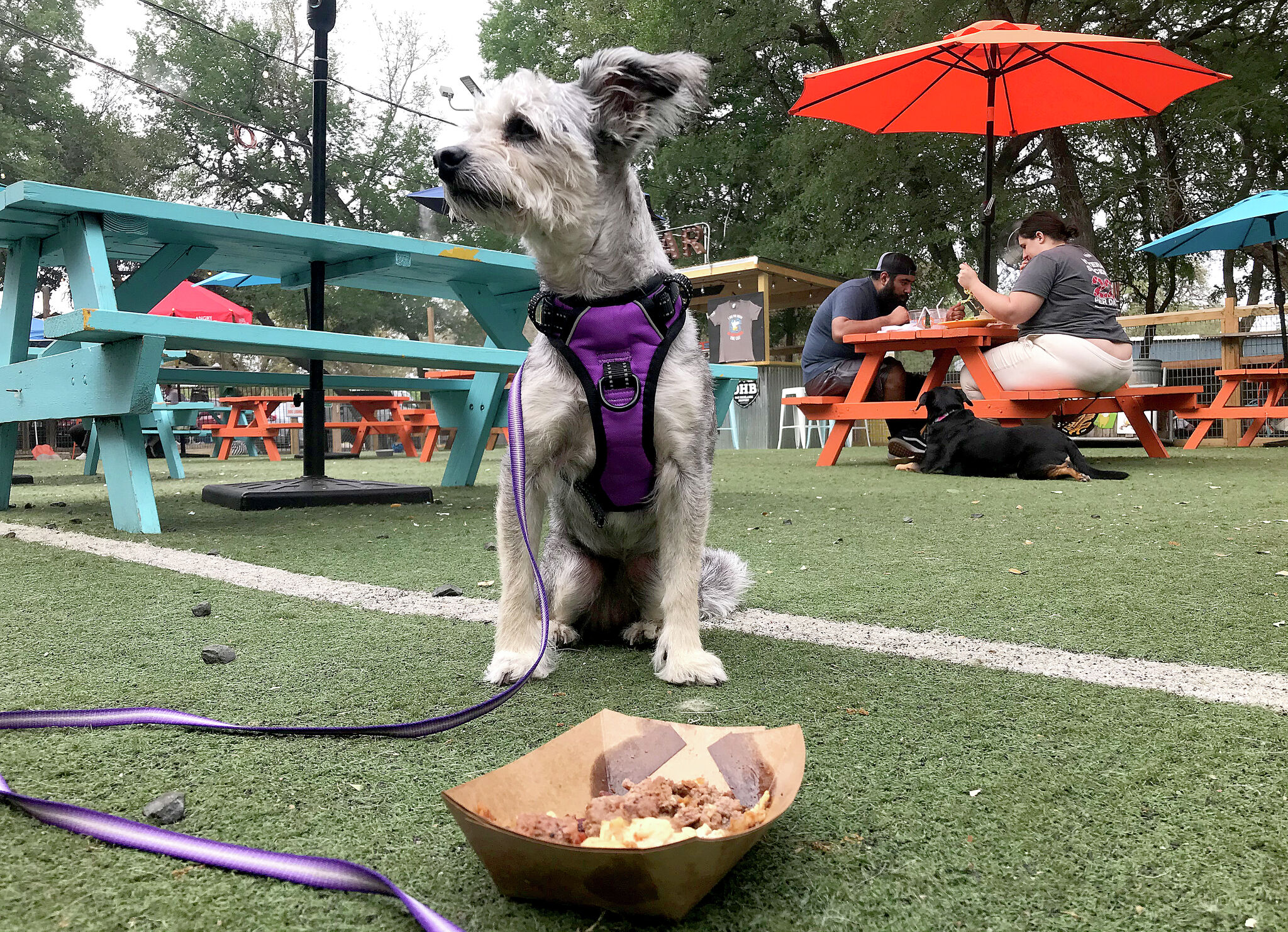 San Antonio's Hops & Hounds isn't closing, owners say