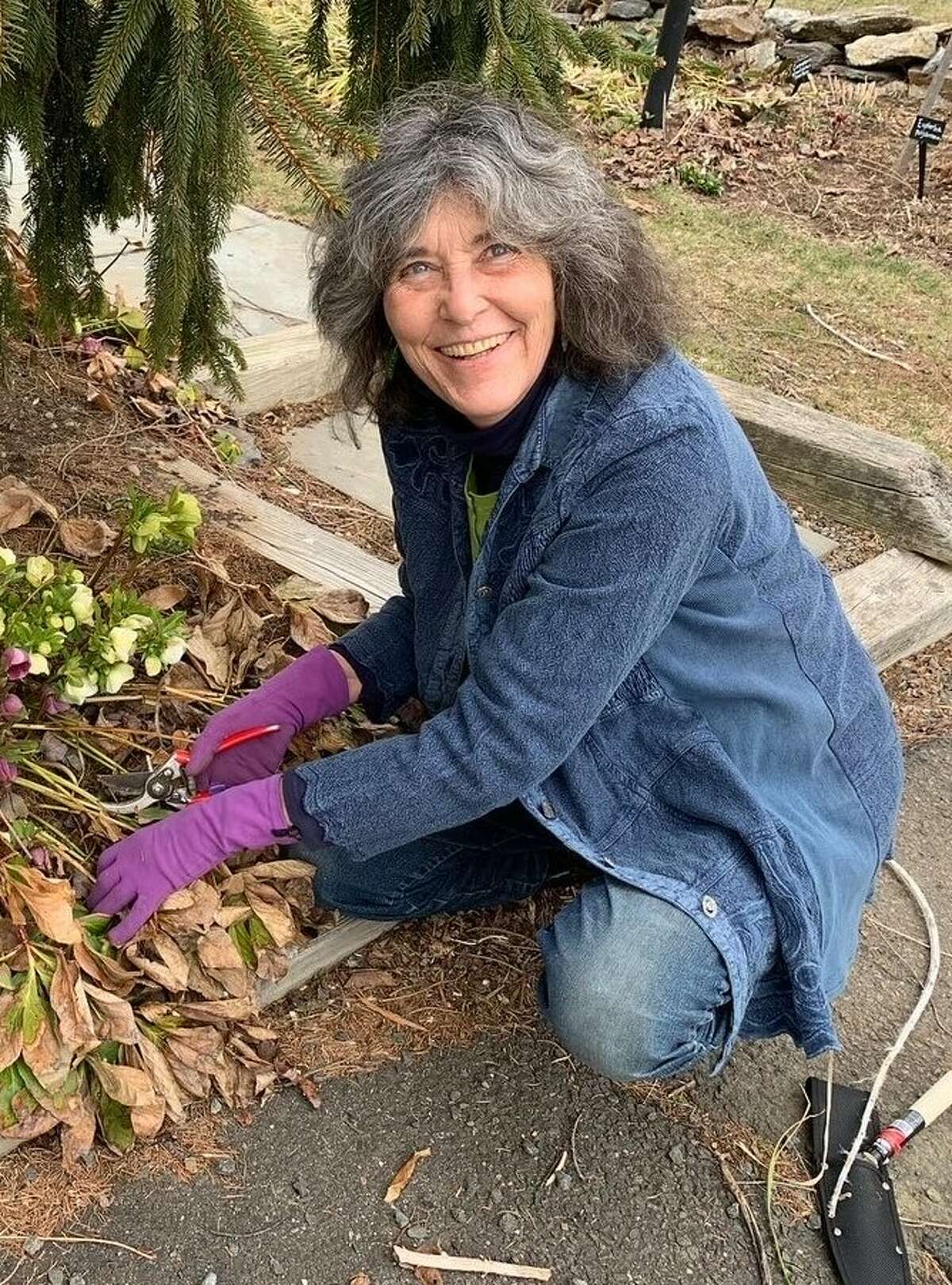 Speakers Nancy Dubrule-Clemente, pictured; Paul Nardozzi and Paul Split are appearing at the CT Flower & Garden Show, set for Feb. 23-26 at the Connecticut Convention Center in Hartford. 