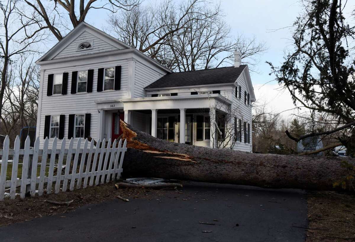 A large tree rests across a Kenwood Ave. driveway after strong winds swept through the Capital Region on Friday, Feb. 3, 2023, in Bethlehem, N.Y.