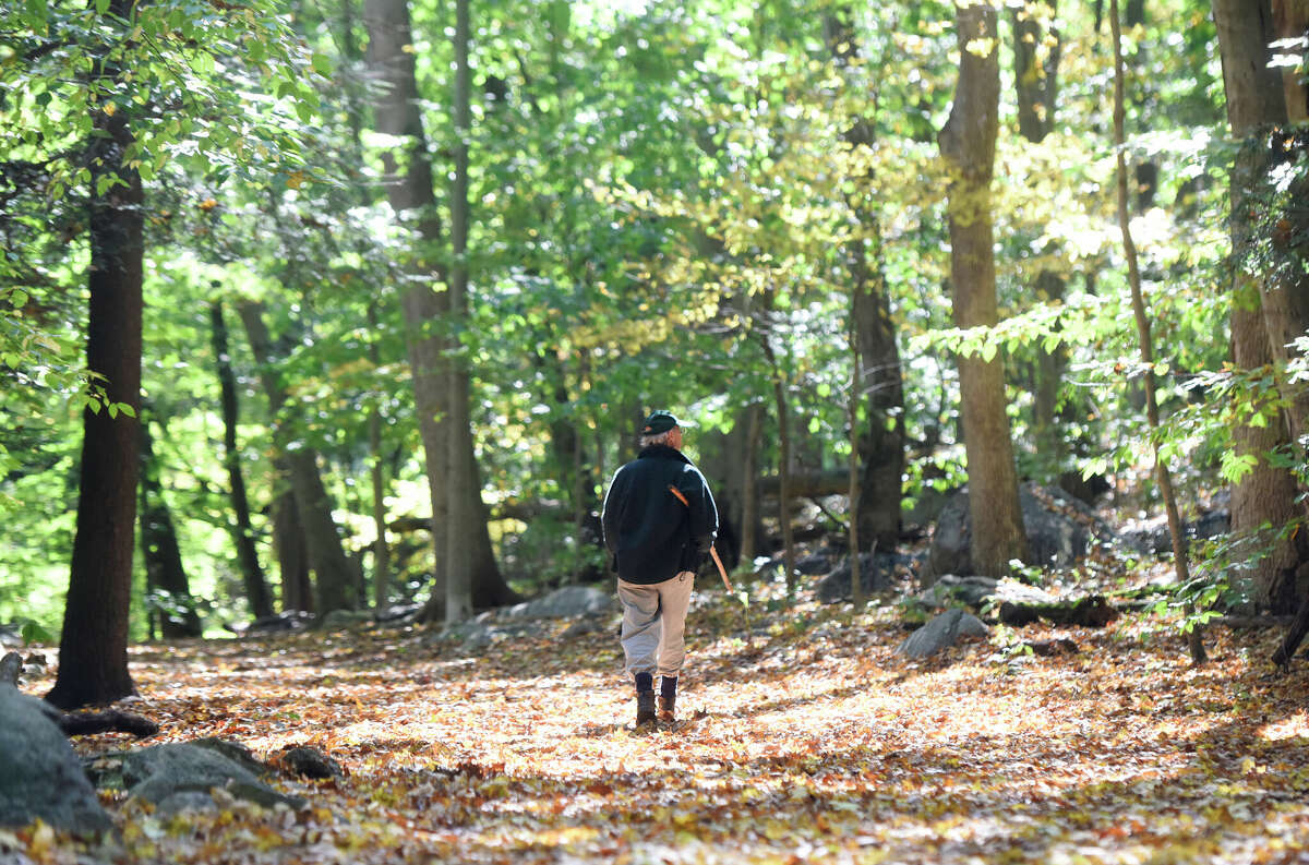 Mianus River Park in Greenwich.