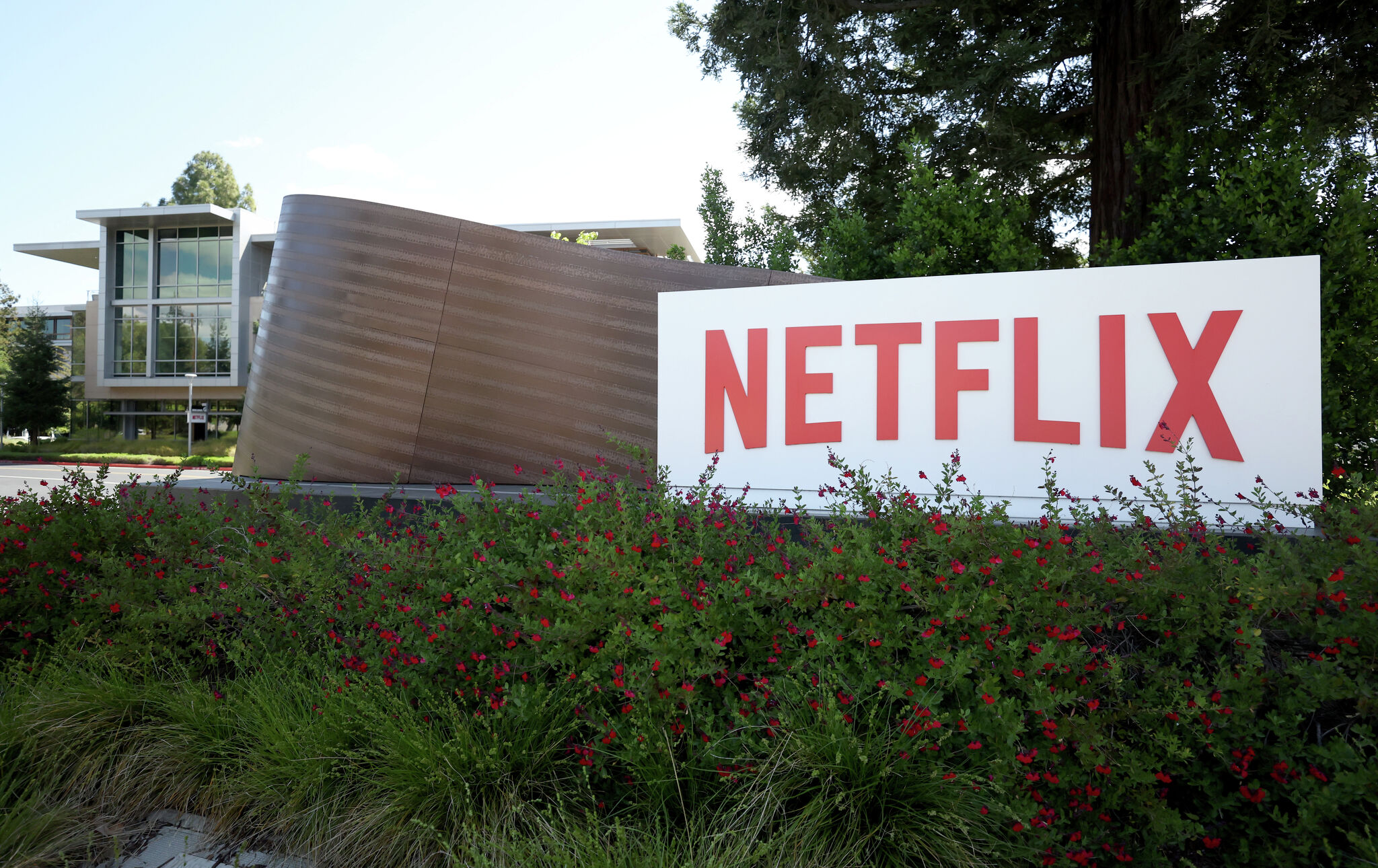 Netflix’s password-sharing crackdown is coming. It looks grim.