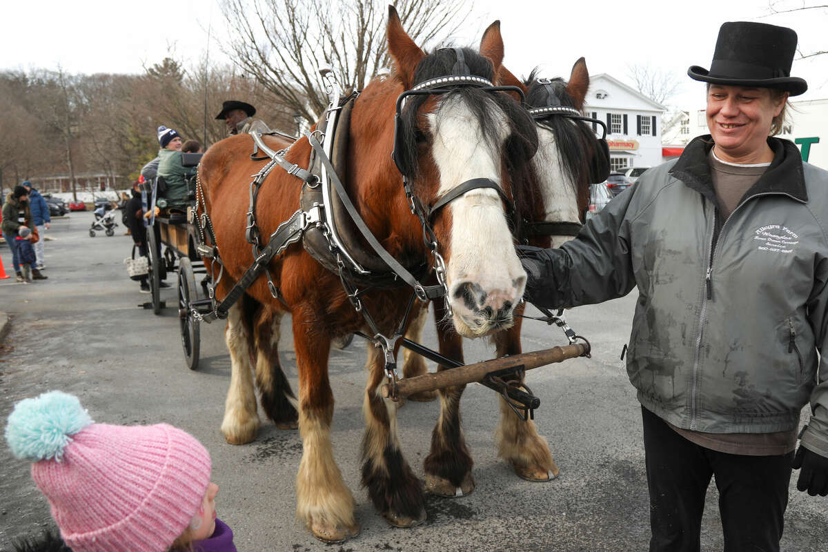 Jennifer Foote, a carriage driver with East Haddam-based Allegra Farm, introduce kids to horses Bongo and Victor during the town's Winter Carnival on Sunday, Feb. 5, 2023. 