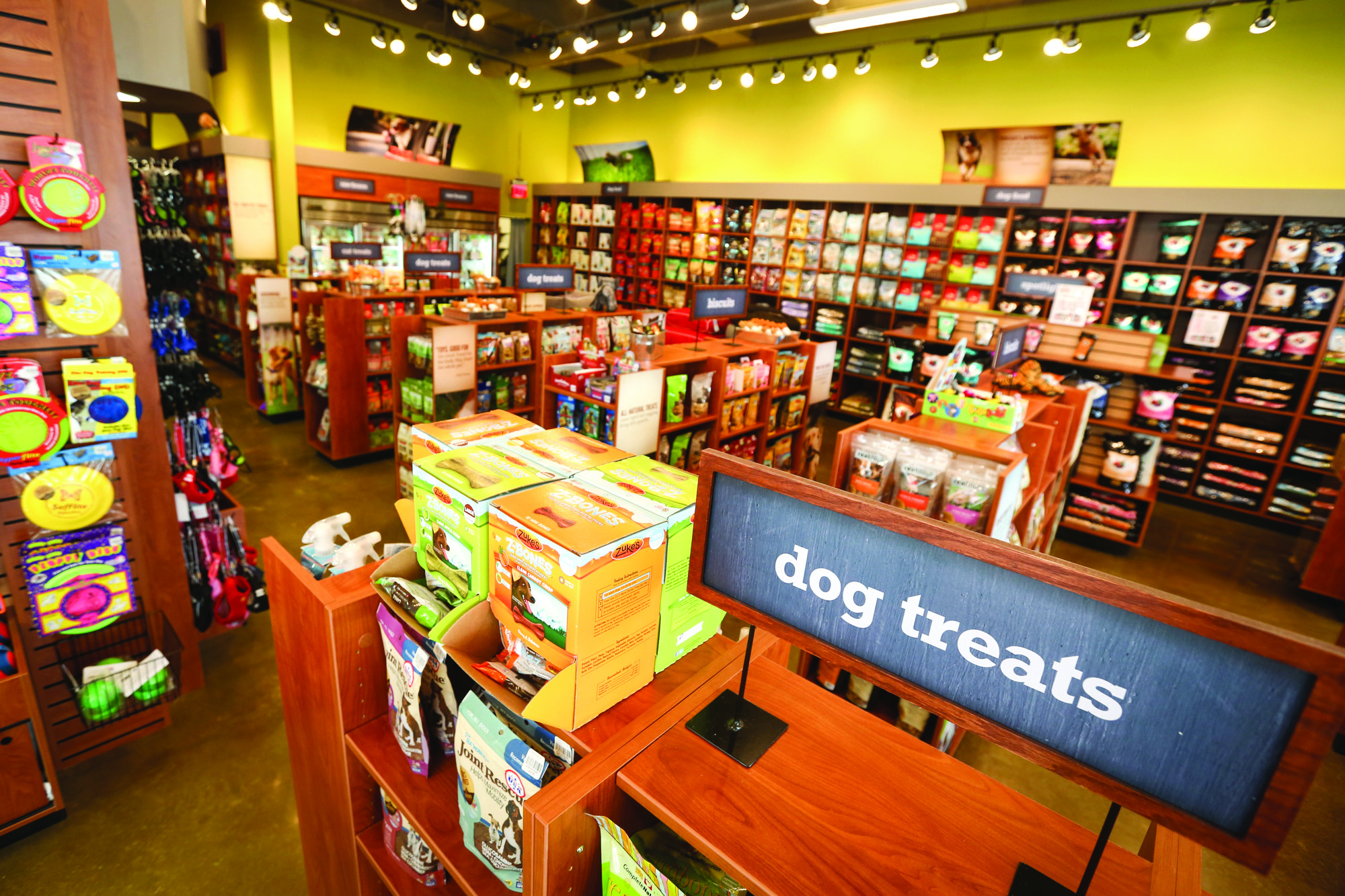Kaiser natural pet store best sale