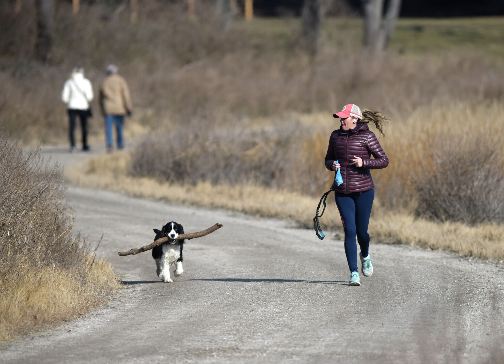 Two CT cities rank low on WalletHub's list of 'Healthiest and Unhealthiest Cities in America'