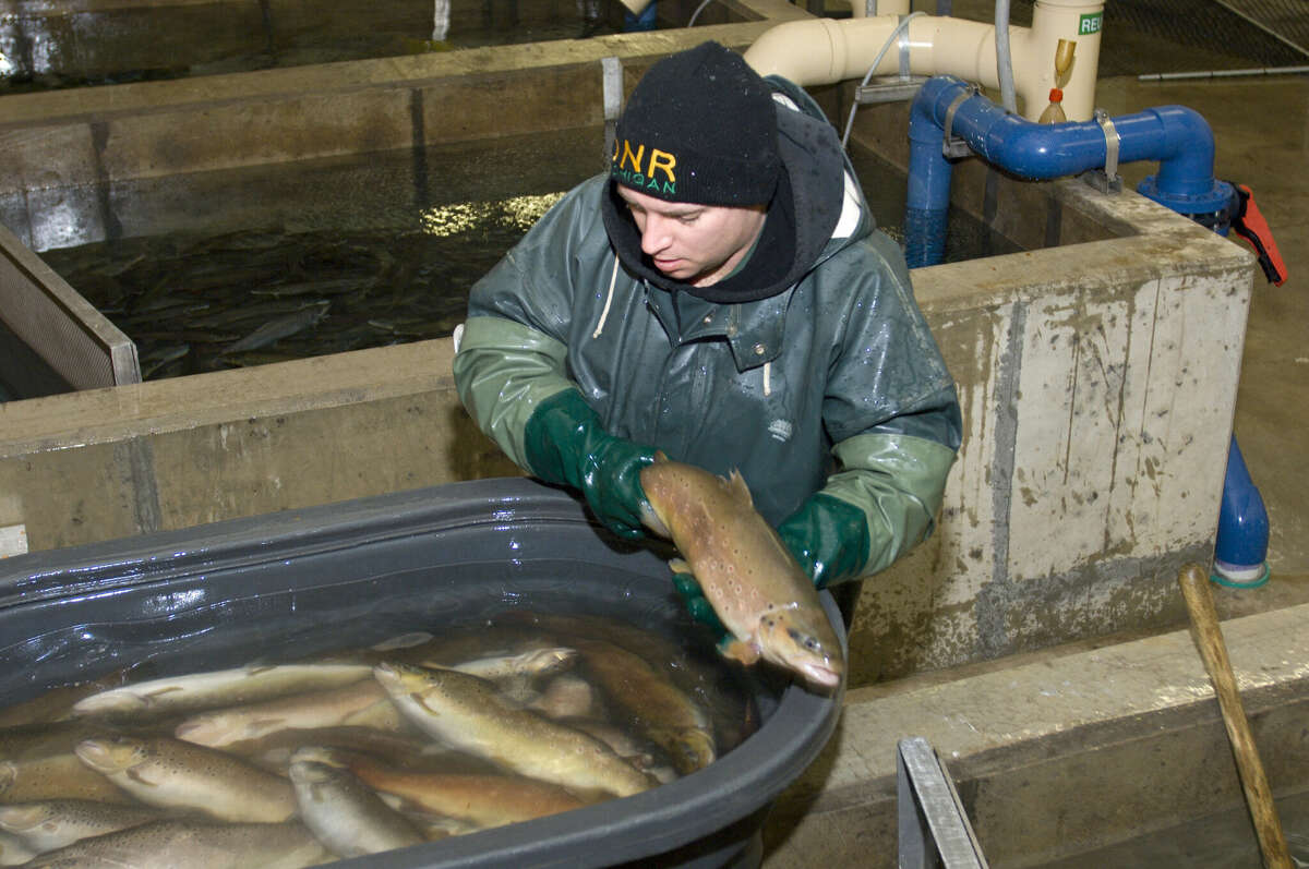 Michigan DNR to install solar power for state fish hatcheries