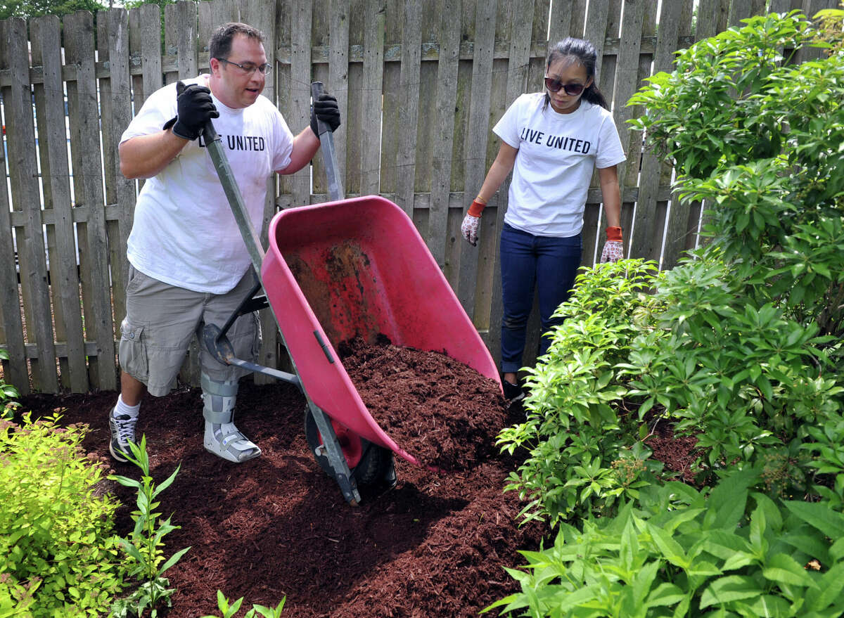 Volunteers for the United Way of Western Connecticut work in the garden beds at the Danbury Museum and Historical Society during The Day of Action on June 5, 2013.