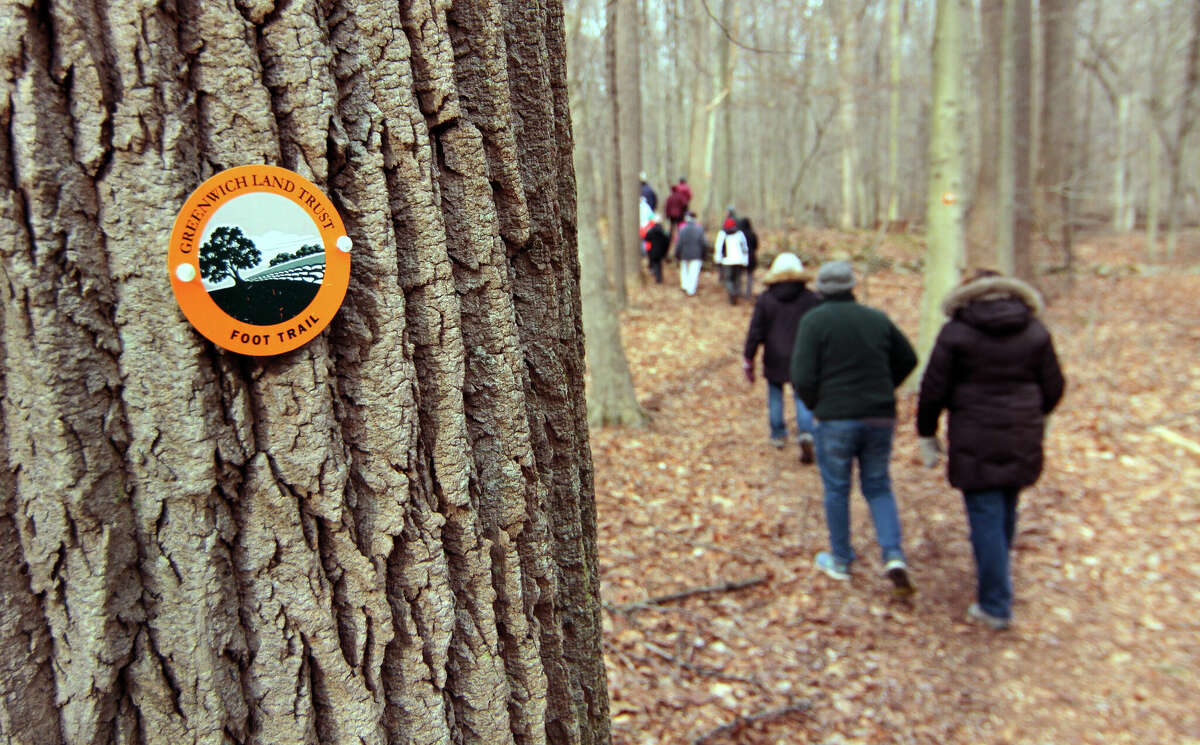 The Greenwich Land Trust, in conjunction with the Greenwich Tree Conservancy, holds its "Winter Walk - Identifying Trees without Leaves" guided tour at the new Converse Brook Preserve in Greenwich, Conn., on Tuesday February 7, 2023. On this guided forest walk, visitors were shown ways to look closer at the diverse features of bark, branches, and buds to see a varied winter landscape.