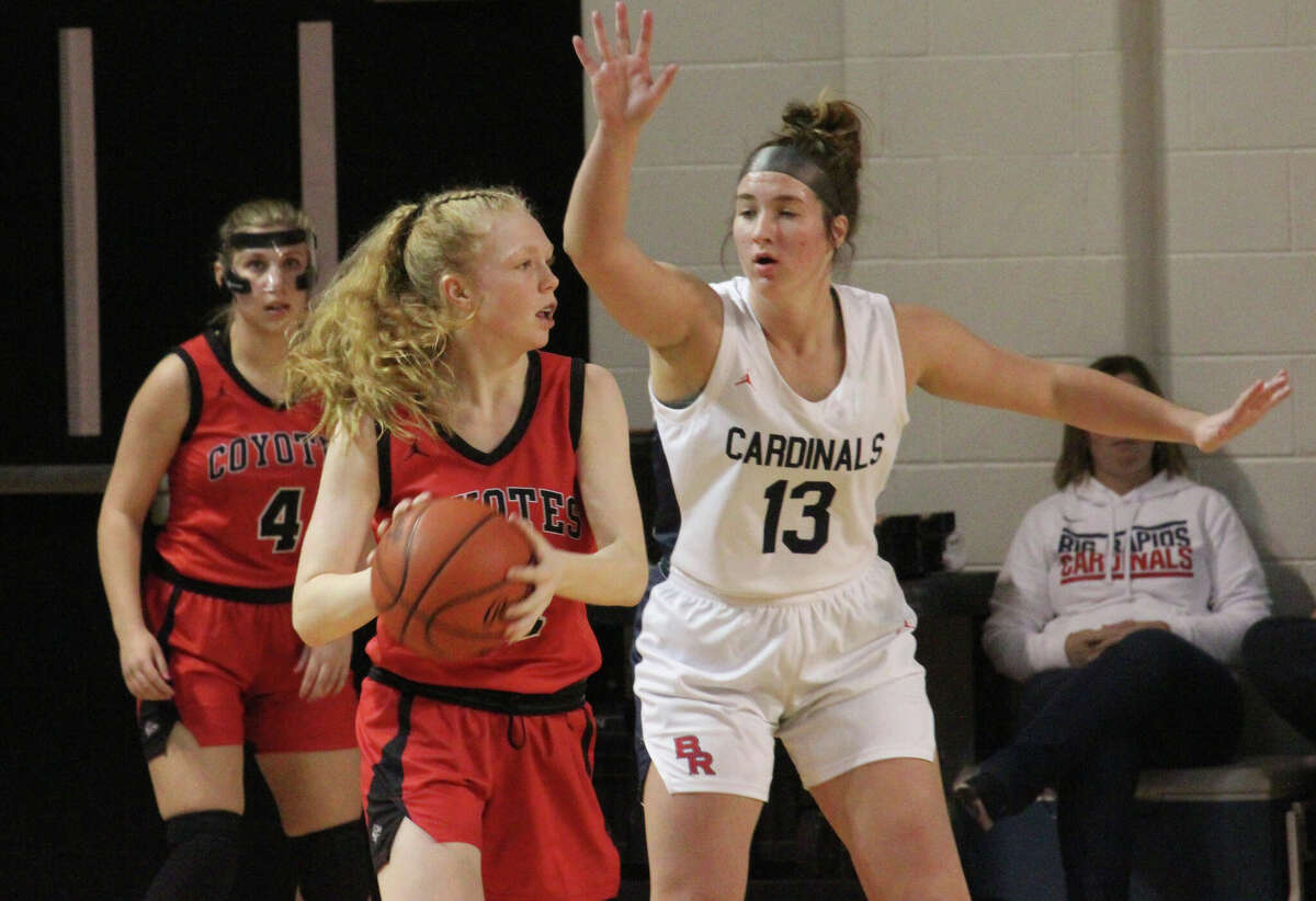 Big Rapids' Rylie Haist (13) plays defense against Morgan Hammond on Wednesday night.