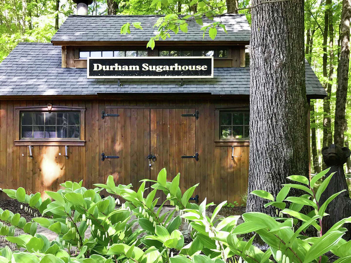 Maple sugaring time in CT 'Crazy' weather may affect yield