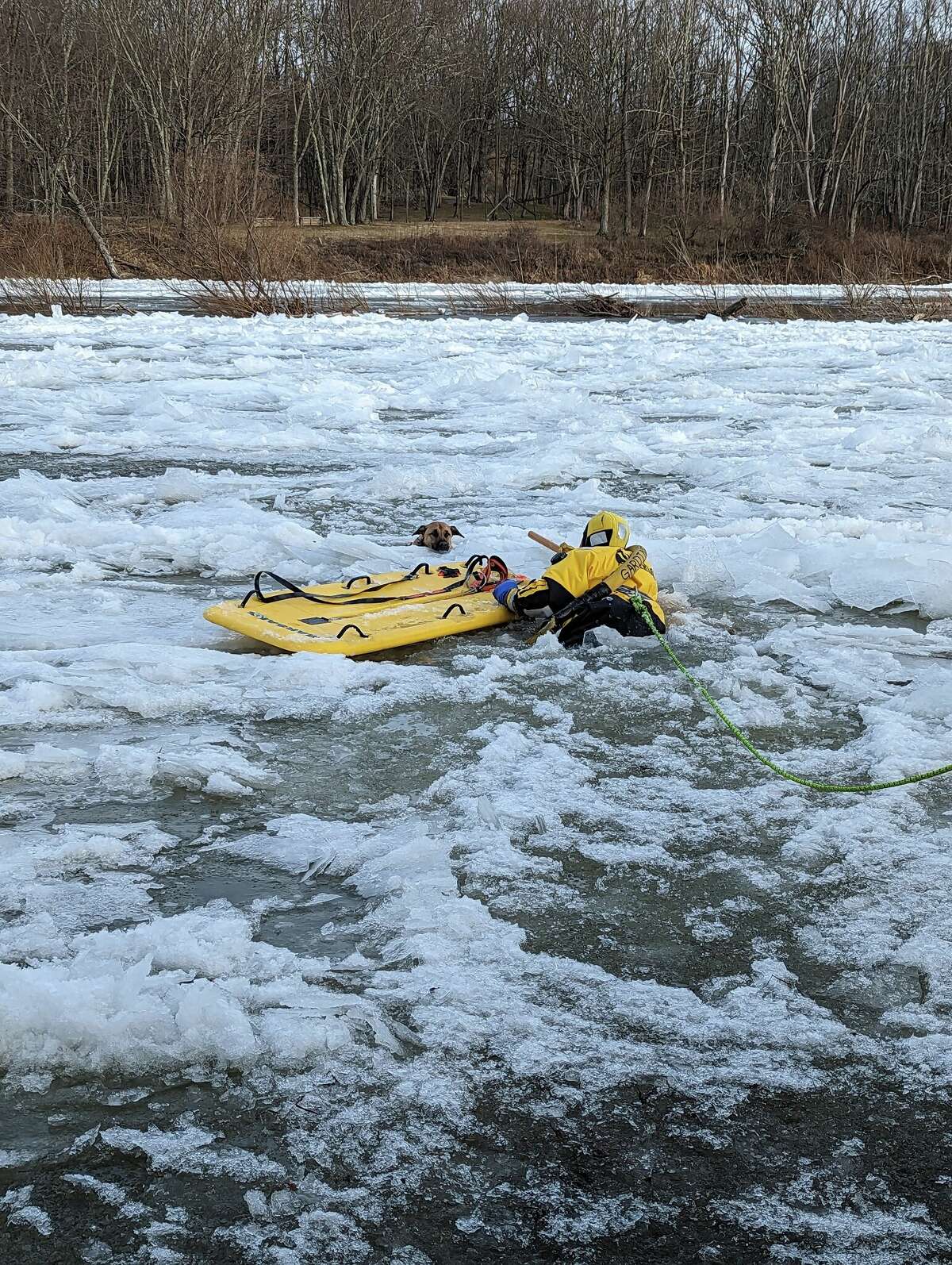 ‘Lucky’ dog rescued after falling through ice on Wallkill River