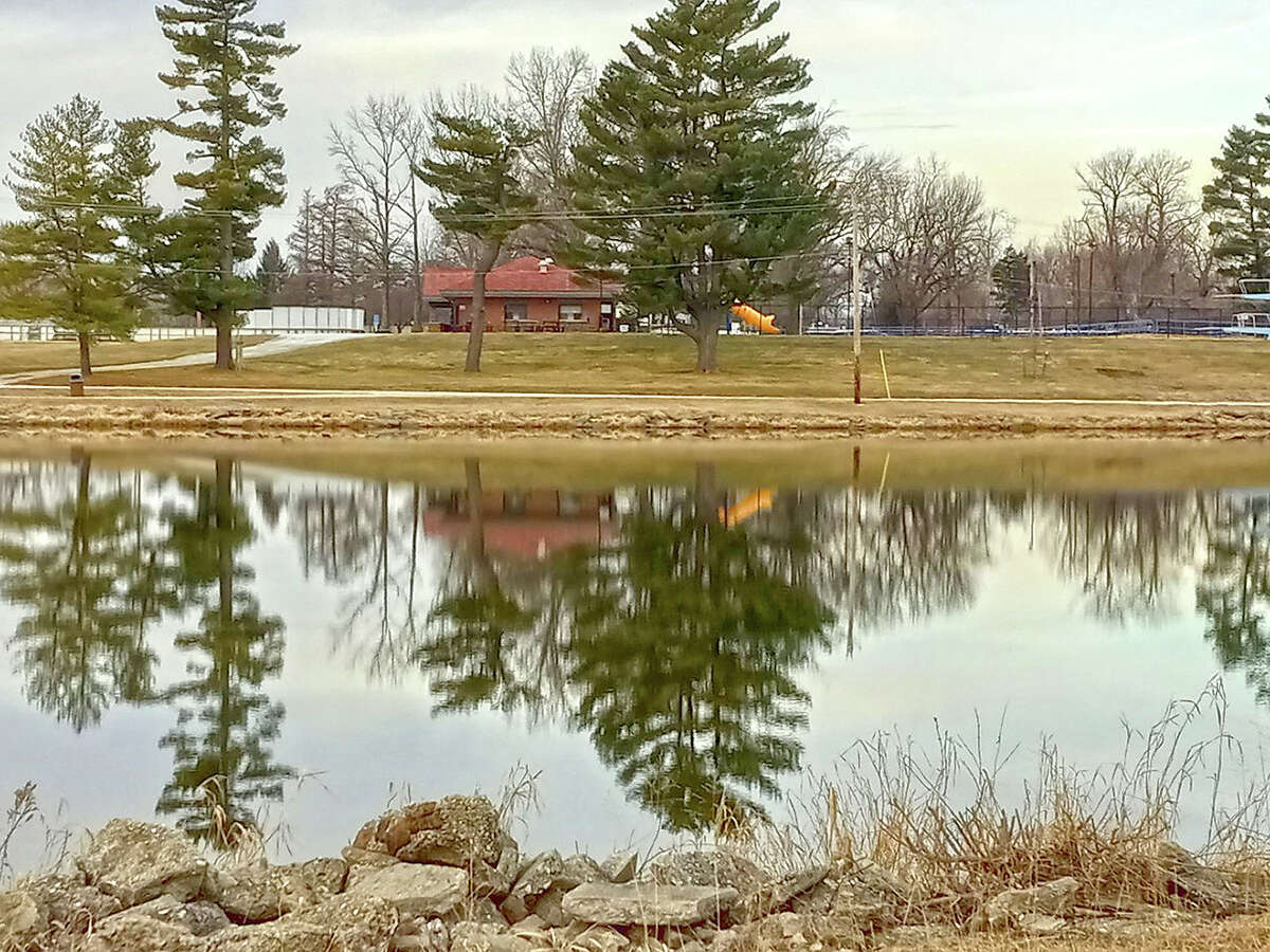 The calmness of a February day is reflected in the water of a lake in Nichols Park.