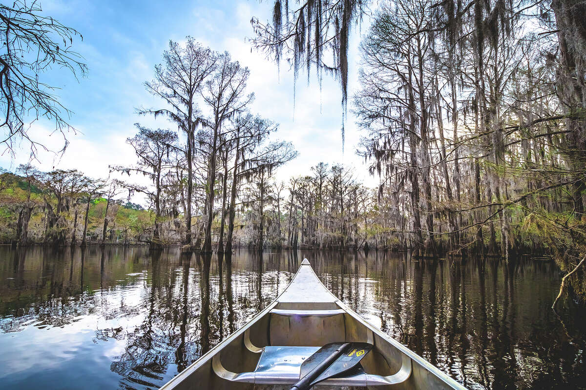 Caddo Lake State Park is a 25,400-acre mosaic of swamps, ponds and bayous, and is the only natural lake in Texas.