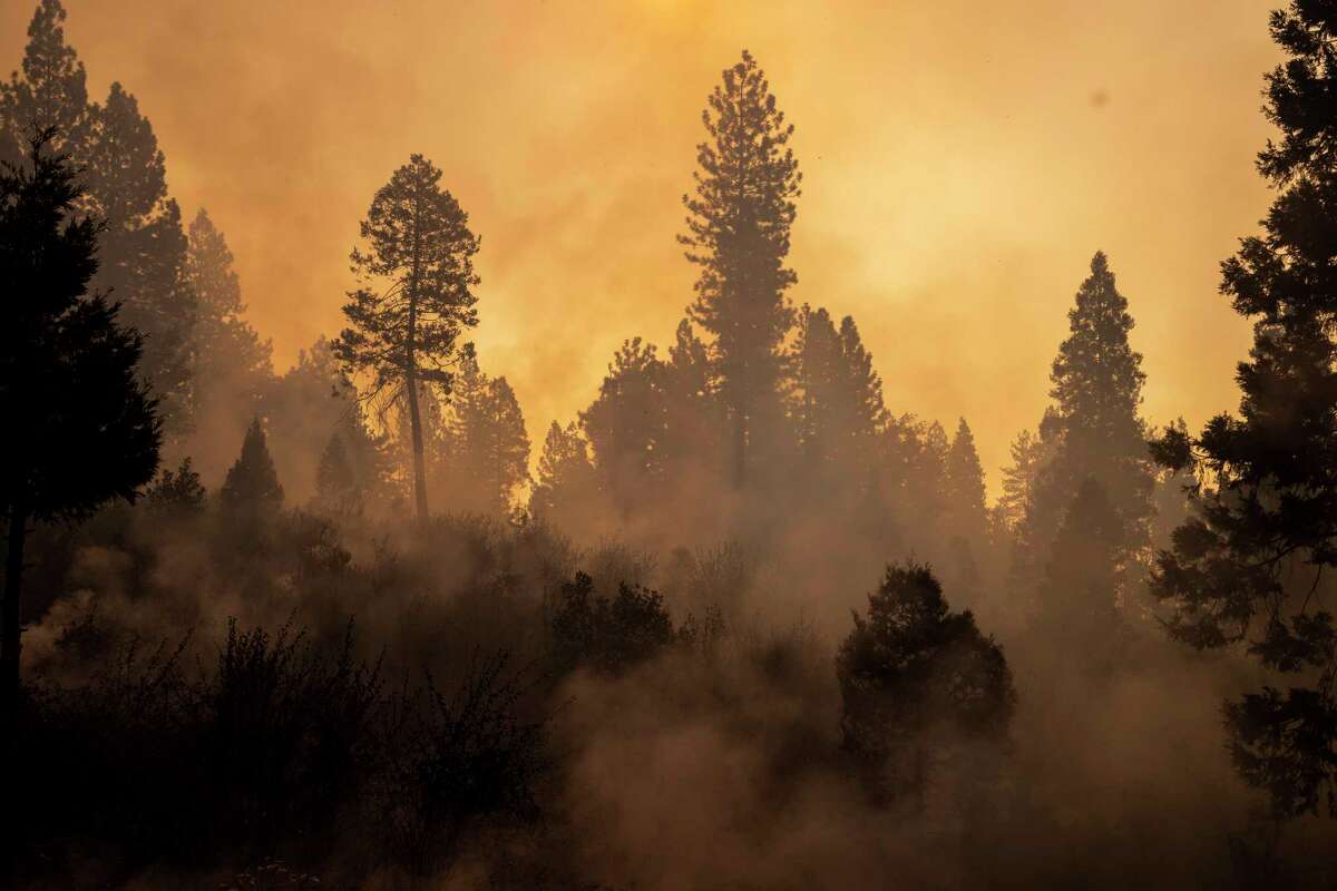 9月，在未合并的普莱塞县，密歇根州布拉夫附近的蚊子大火期间，烟雾从一棵树线上升起。科学家表示，现在预测今年冬天的风暴是会降低还是会增加野火的风险还为时过早。