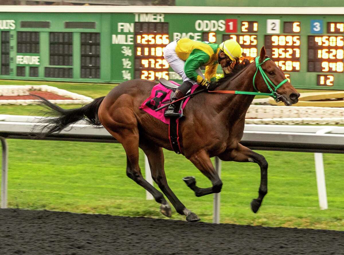 Chase the Chaos and jockey Armando Ayuso win an allowance race by 7 1/2 lengths Dec. 30 at Golden Gate Fields.