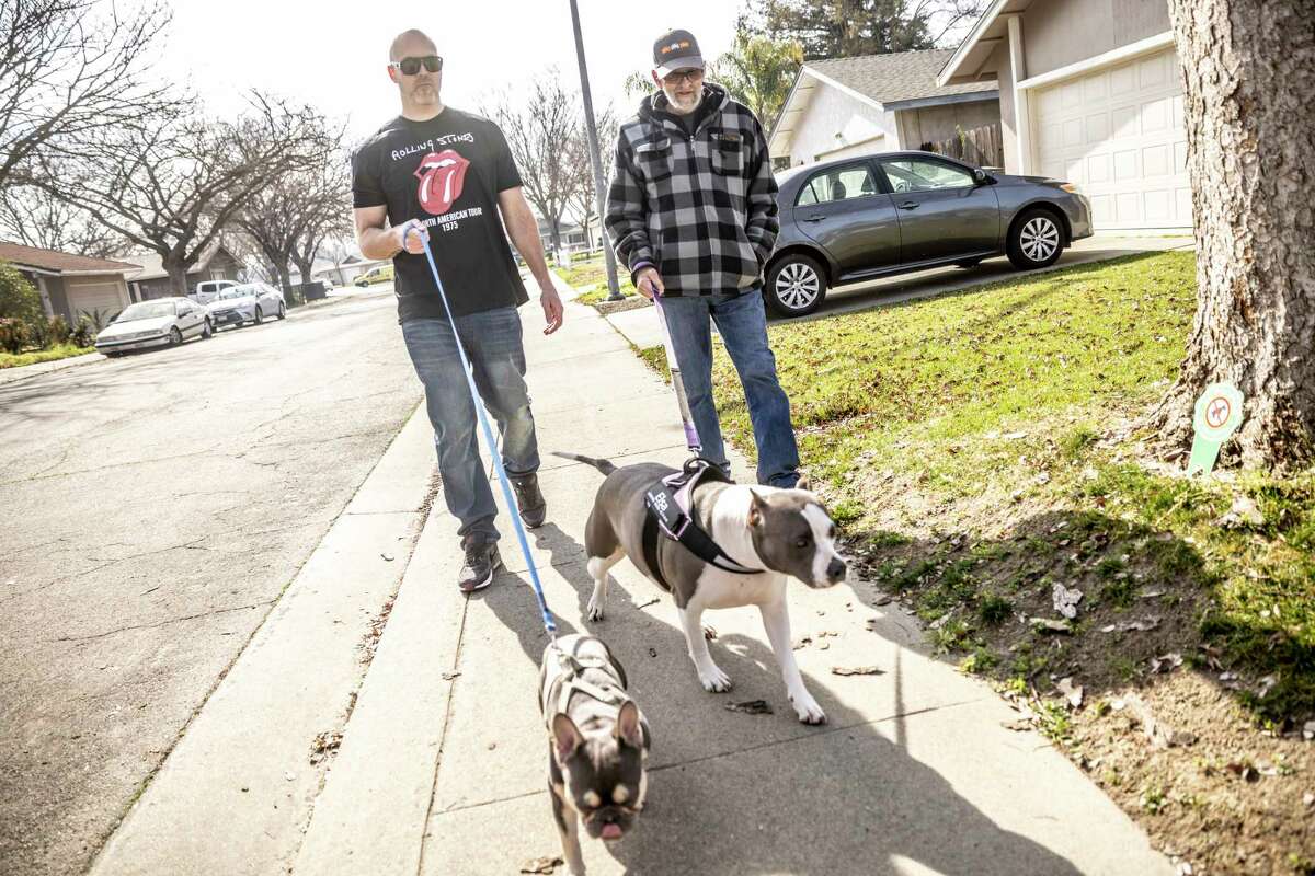 Luke Scarmazzo, left, who was released on Feb. 3 after serving 14 years in prison for operating a medical cannabis dispensary in Modesto, walks family dog Rolli with his father Nick, and dog Elsa, near their home in Modesto.