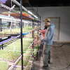 Jacob and Genesis Bigos, co-owners of Casi Paraiso Organics in Torrington. 