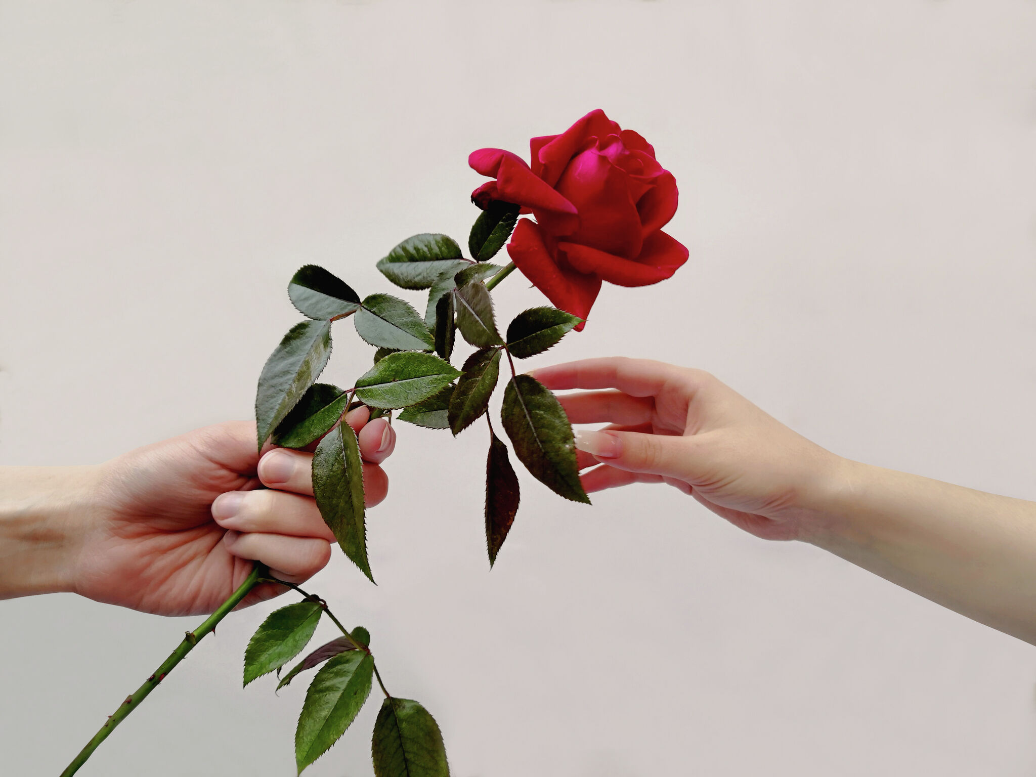 Dating in San Antonio can be frustrating for singles