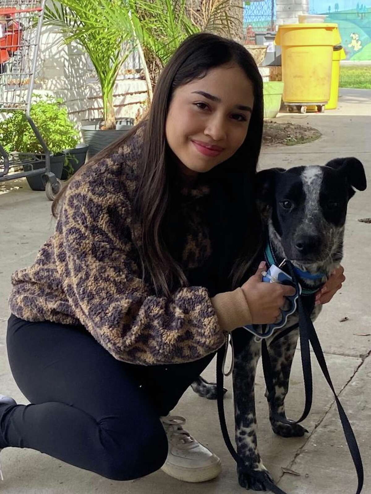 Laredo Animal Protective Society hosts Valentine's Doggy Date event