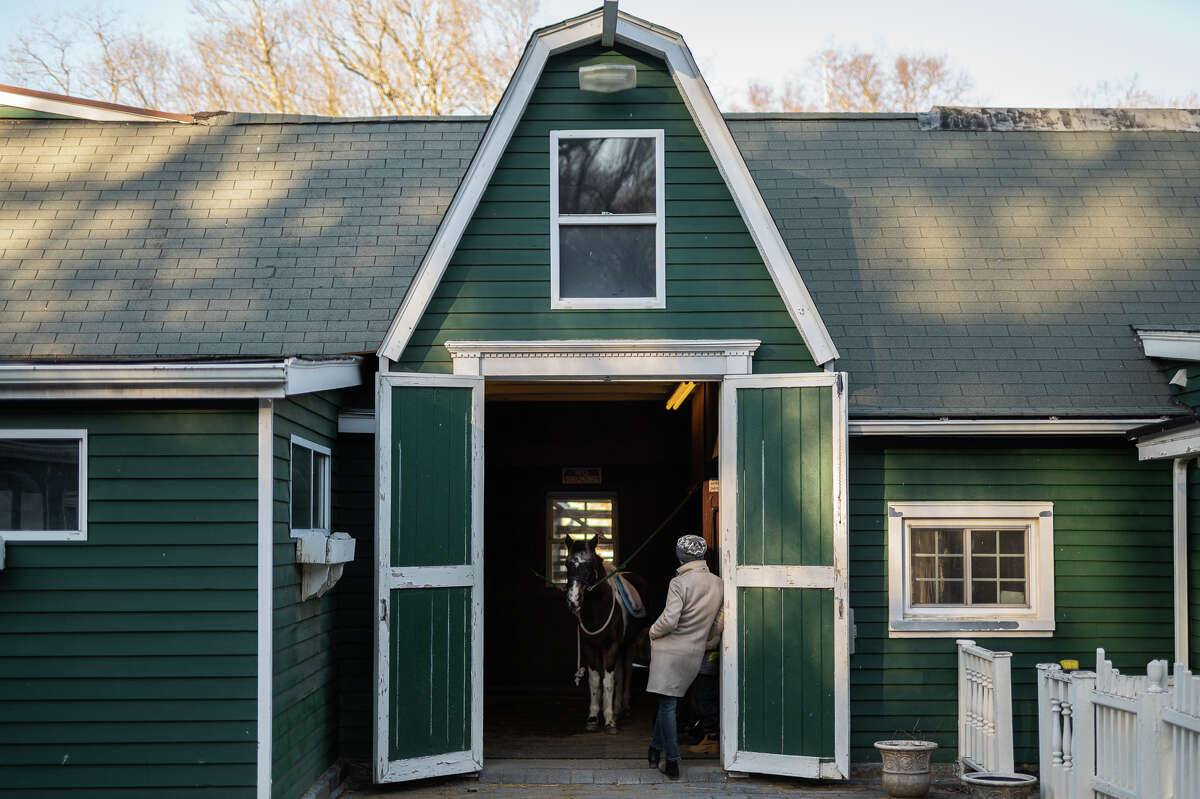 For sale 90yearold Stamford horse farm, horses included