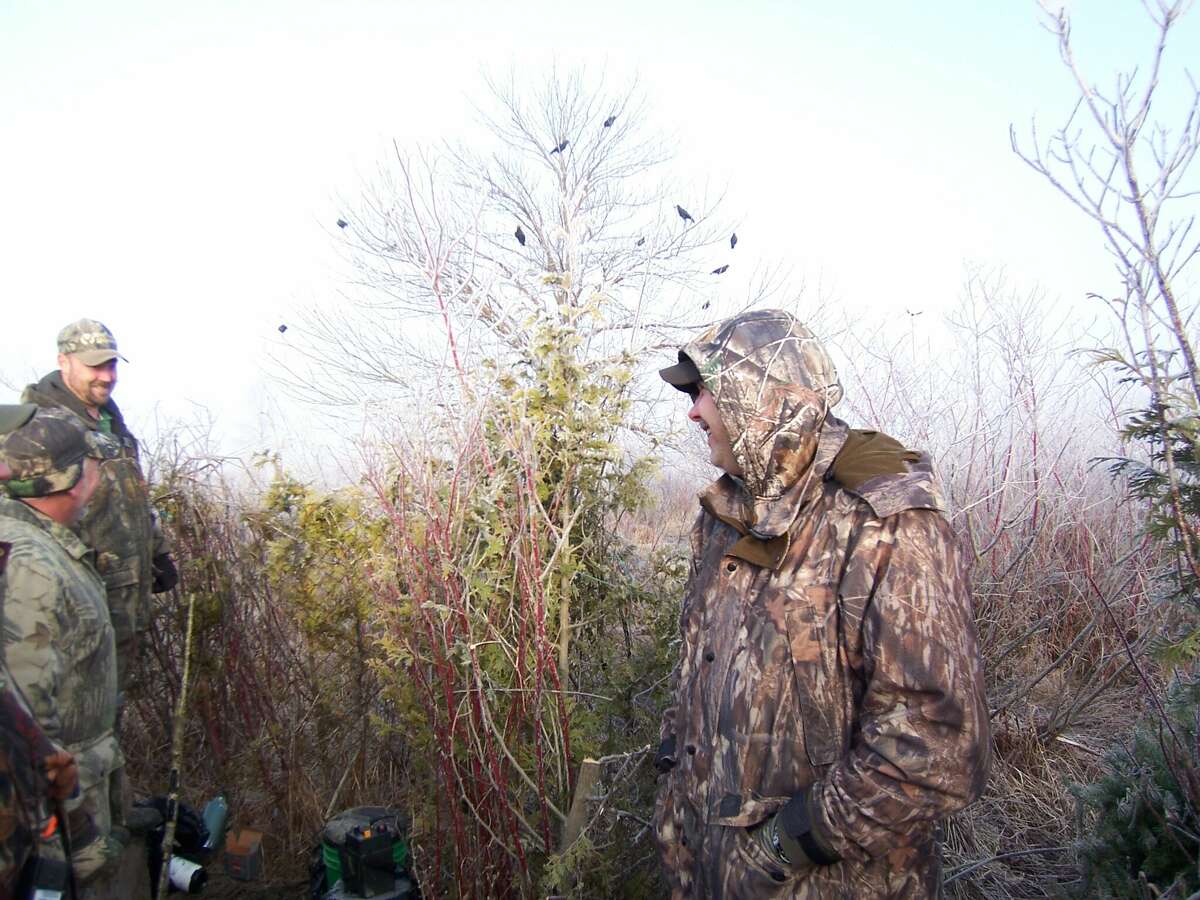 The crow hunting atmosphere in a hunting blind is identical to the duck hunting atmosphere, which allows for conversation with fellow hunters until crows are called in and the shooting action starts. The "crows" in the nearby trees were actually plastic decoys during this March hunt. Decoys bring realism to the scene for incoming and very sharp-eyed crows.