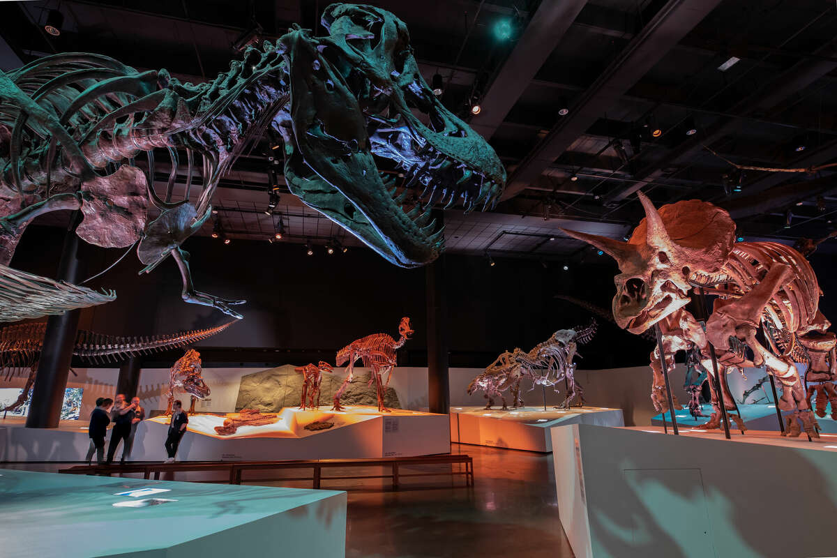 Le Morian Hall of Paleontology à Houston, Texas. 