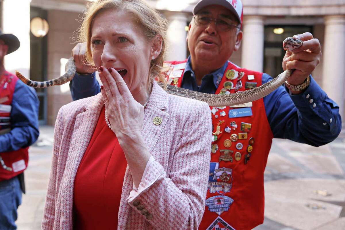 Texas State Rep. Shelby Slawson, R-Stephenville, reacts as she is photographed with a rattlesnake handled by Sweetwater, Texas Jaycee, Joe Torrez, at the State Capitol, Tuesday, Feb. 14, 2023. The Jaycees were promoting the annual Sweetwater Rattlesnake Roundup. The festival started in 1958 and continues this year starting on March 11 through March 13.