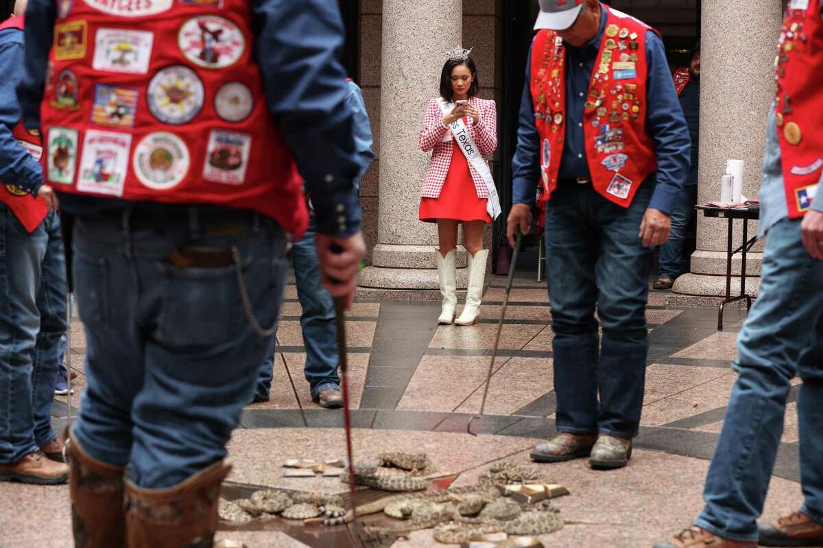 Texas Capitol Snake Week brings rattlesnakes to Austin for 28th year