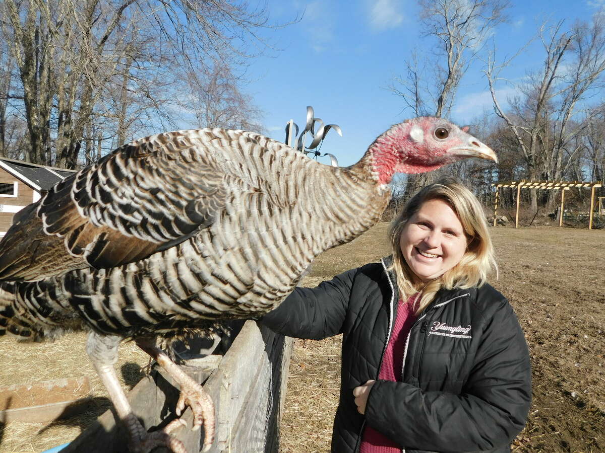 Samantha Pagan with one of her blue slate hen turkeys at Misfit Farms in Harwinton.