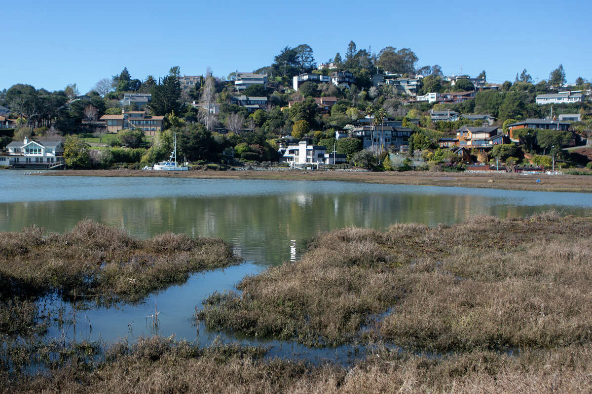 Aramburu Island may be one of the Bay Area's bestkept secrets
