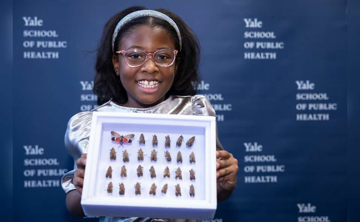 Bobbi Wilson was honored during a ceremony at the Yale School of Public Health for donating a collection of dead spotted lanternflies to the Yale Peabody Museum and helping protect her ecosystem on Jan. 20. The insects are an invasive species known for damaging crops and the New Jersey government recommends residents kill them on sight.