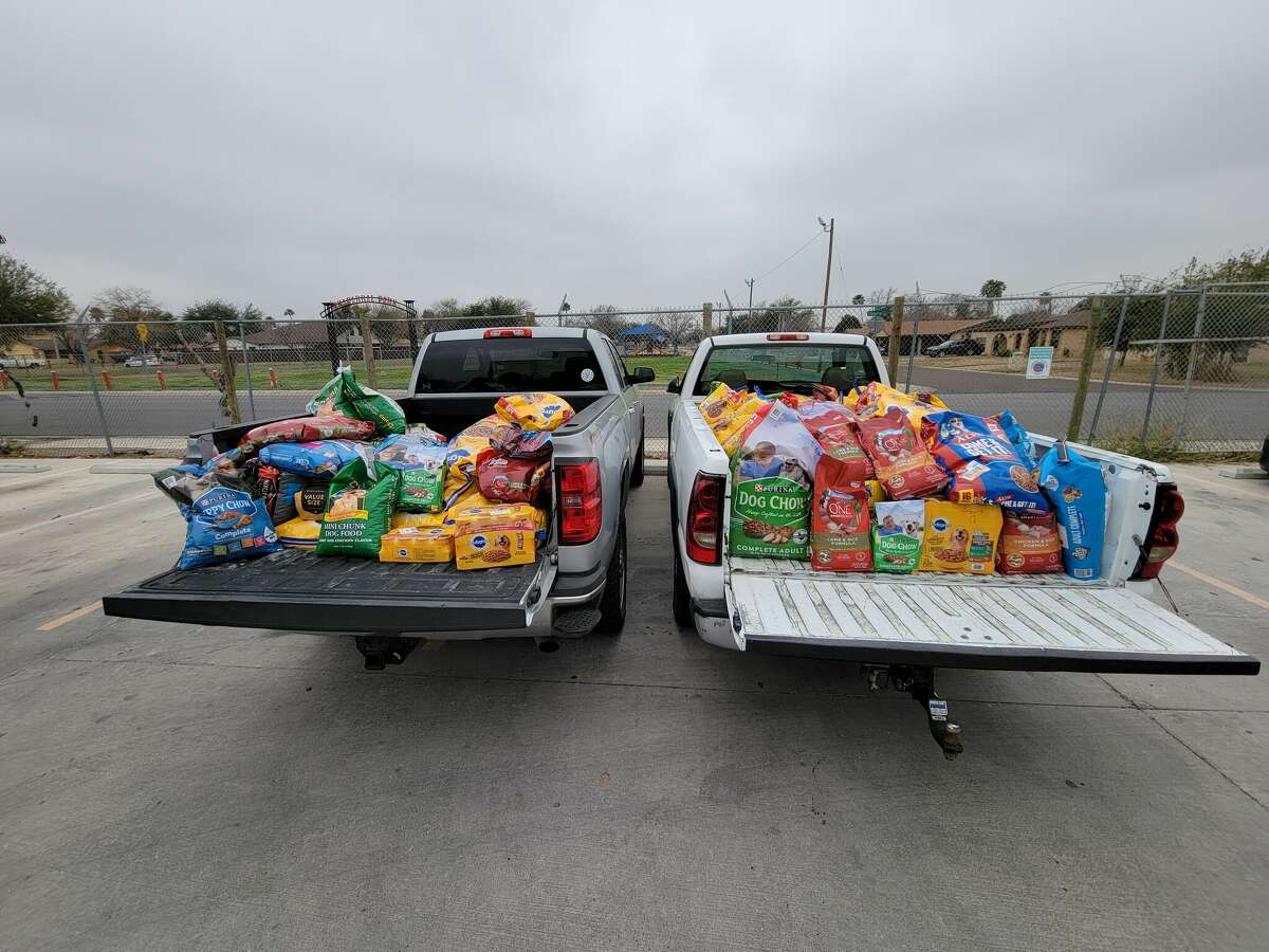 Pictures from last year's first annual event. The 500 Pounds of Love pet food drive, which had an extremely successful debut effort a year ago, will return next weekend organized by a pair of Alexander High School students to benefit Pets Alive Laredo.