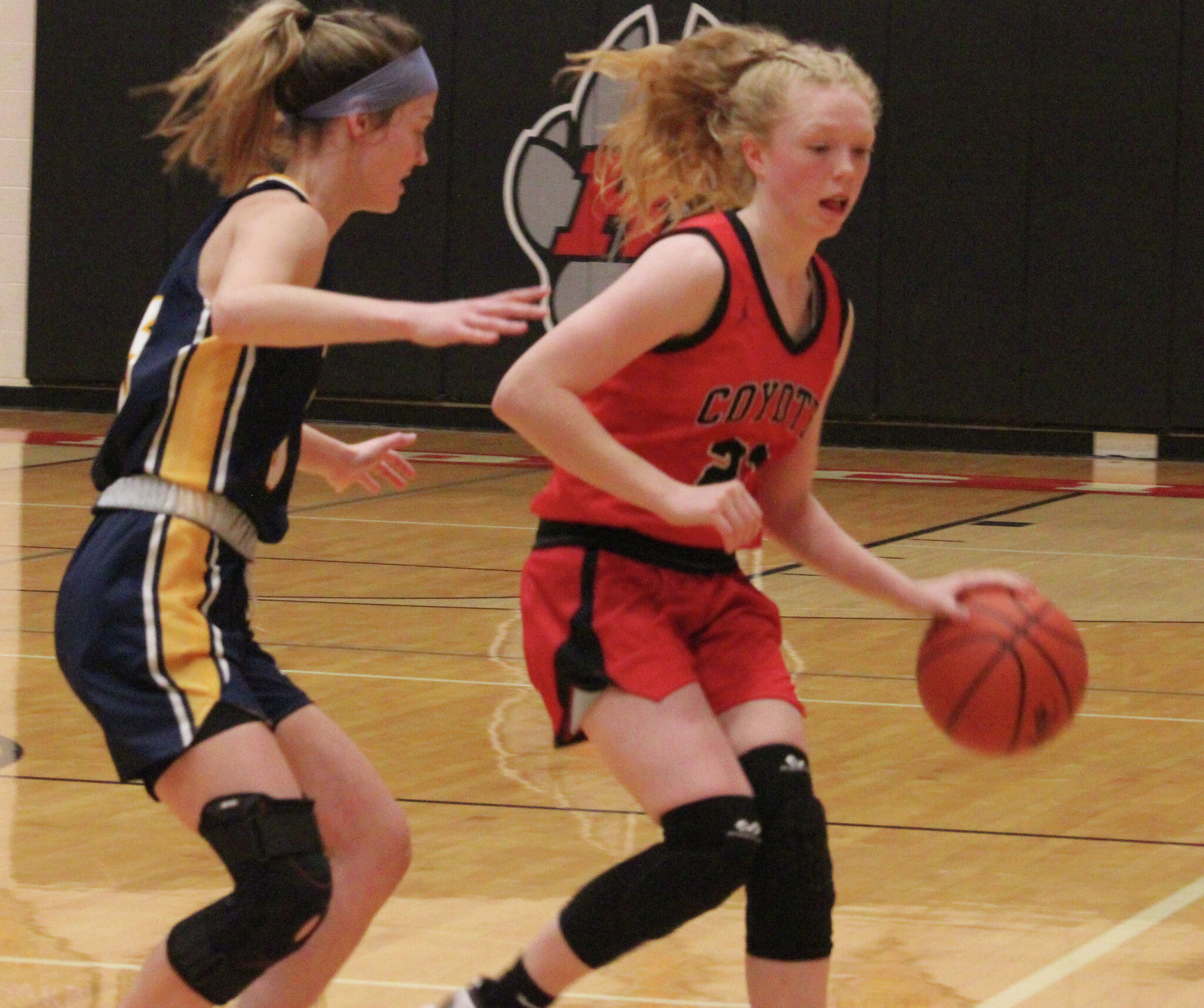 Reed City girls basketball overpowers White Cloud