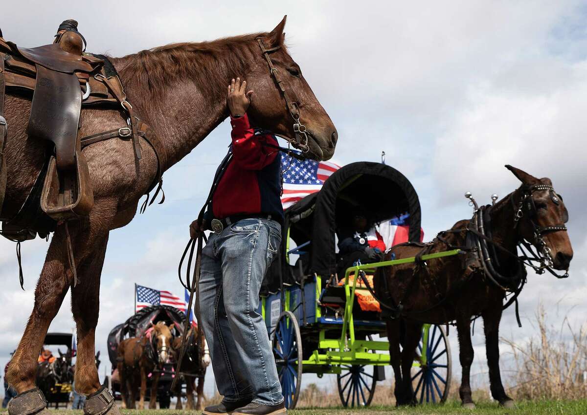 Houston rodeo trail ride Riders reach downtown Houston rodeo parade