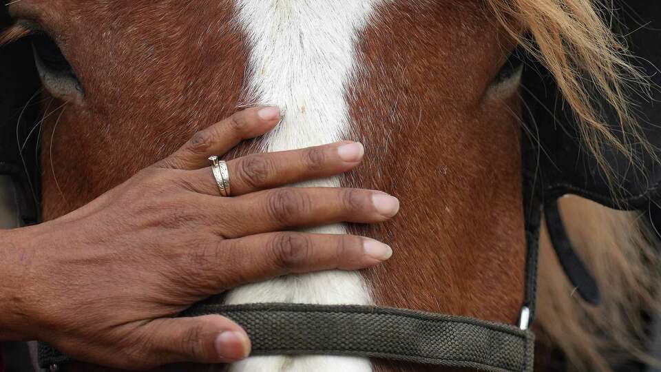 Tina Jackson pets Dolly, a horse pulling the trailer she rides in during day two of the Northeastern Trail Riders's six-day journey from Beaumont to Houston to kick off the Houston Rodeo on Monday, Feb. 20, 2023.