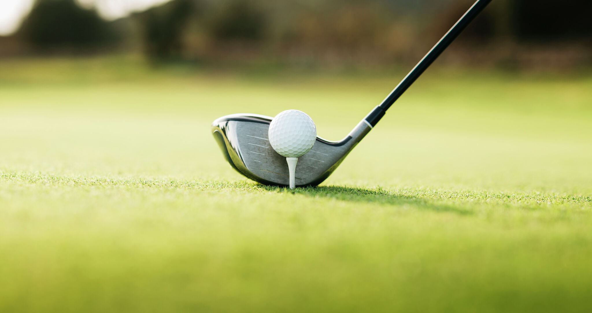 Nicholas Gross wins Simplify Boys Championship in The Woodlands