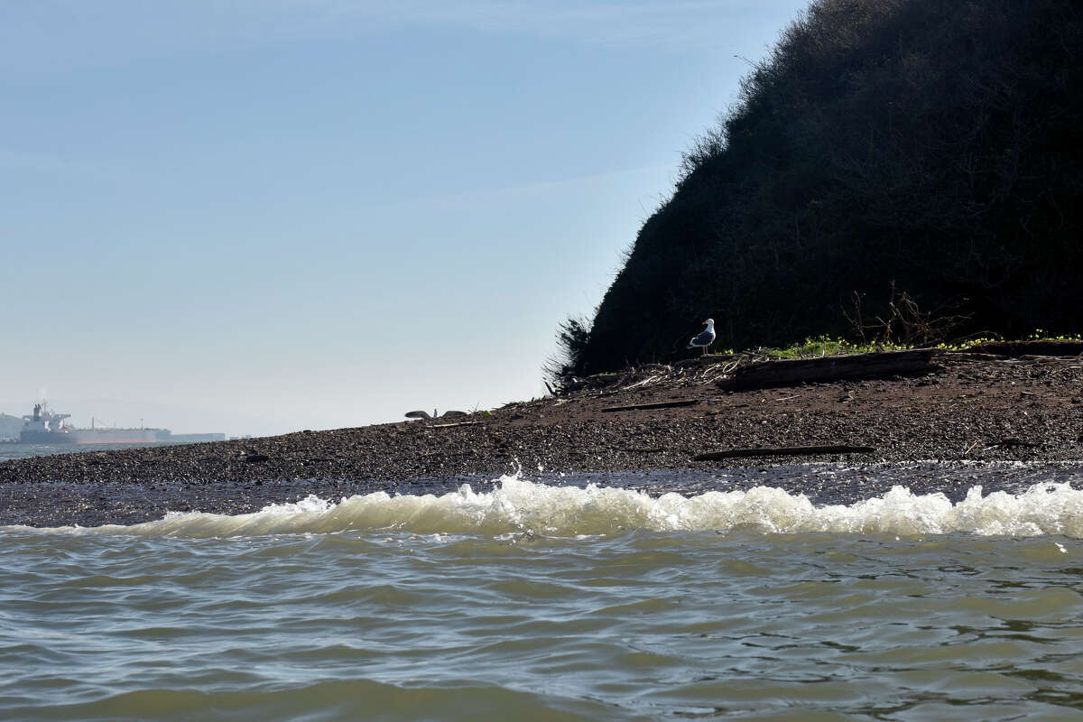 How Red Rock Island became the only private island in the SF Bay