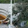 一棵树被部分切除,挂在车道交通移动过去在其他车道后,树倒了在三个车道的交通周二在海湾大桥,2023年2月21日在旧金山,加州。