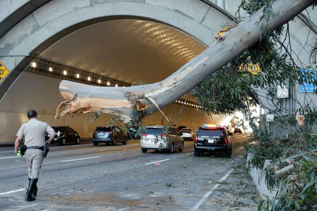 A California Highway Patrol officer walks on the Bay Bridge as he works next to the trunk of the tree partially removed after falling across three lanes of traffic on the Bay Bridge on Tuesday, February 21, 2023, in San Francisco, Calif.